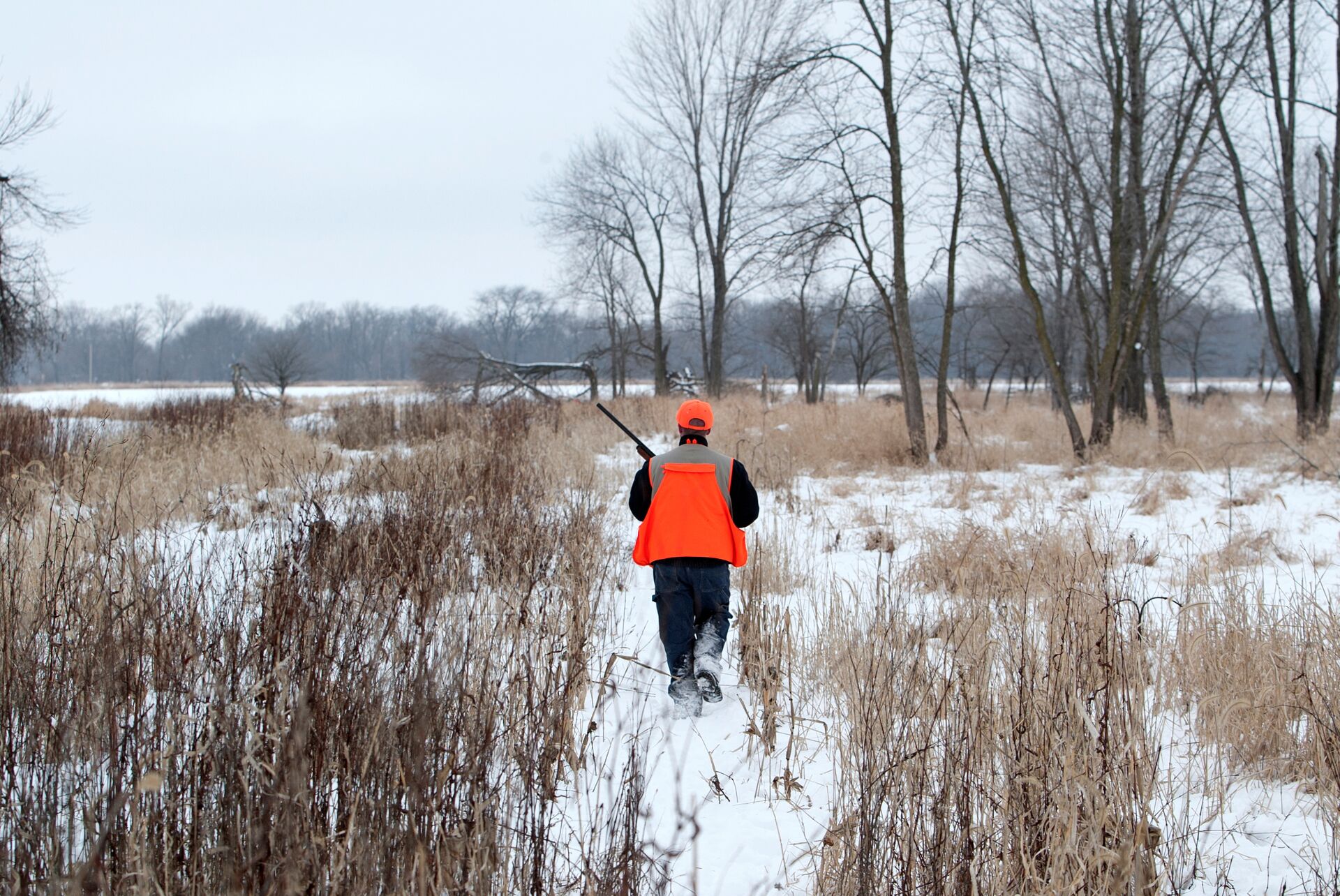 A hunter wearing blaze orange with a rifle walking through a snowy field, safety through hunter education concept. 