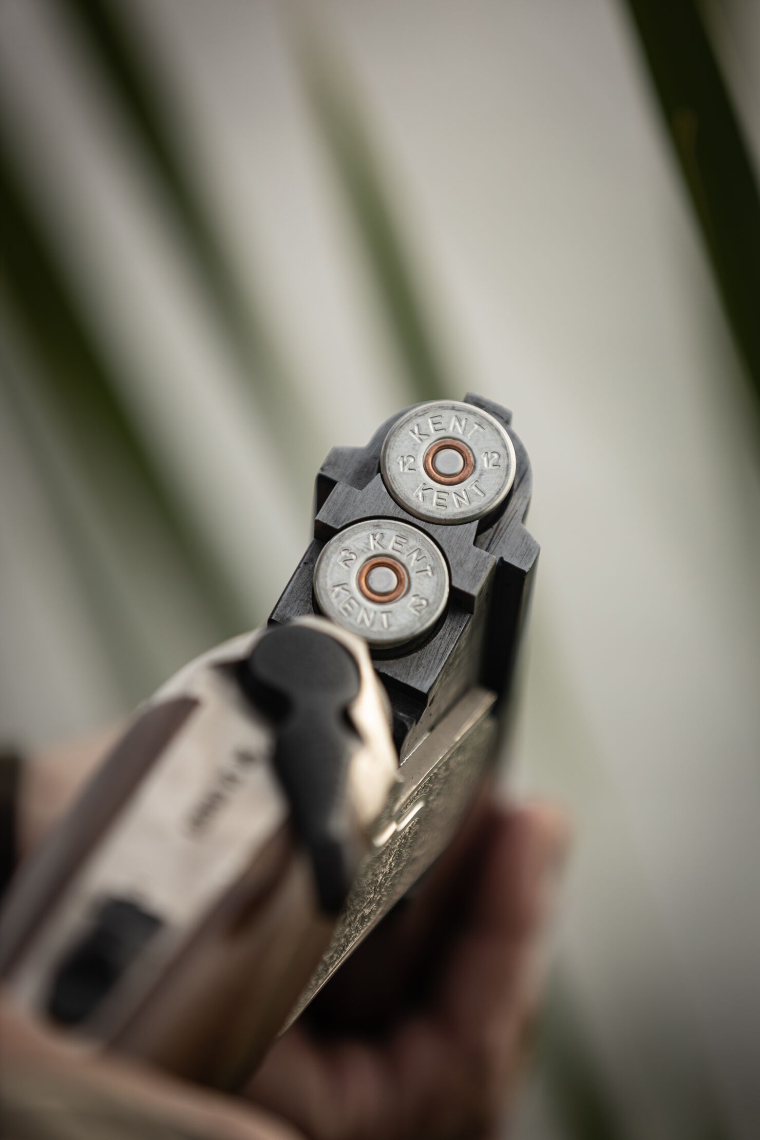 Close-up of shotgun shells in a shotgun, understanding gun calibers concept. 