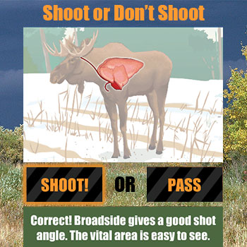 An illustration of a shoot-don't-shoot scenario from ilearntohunt, hunter safety eduction course concept. 