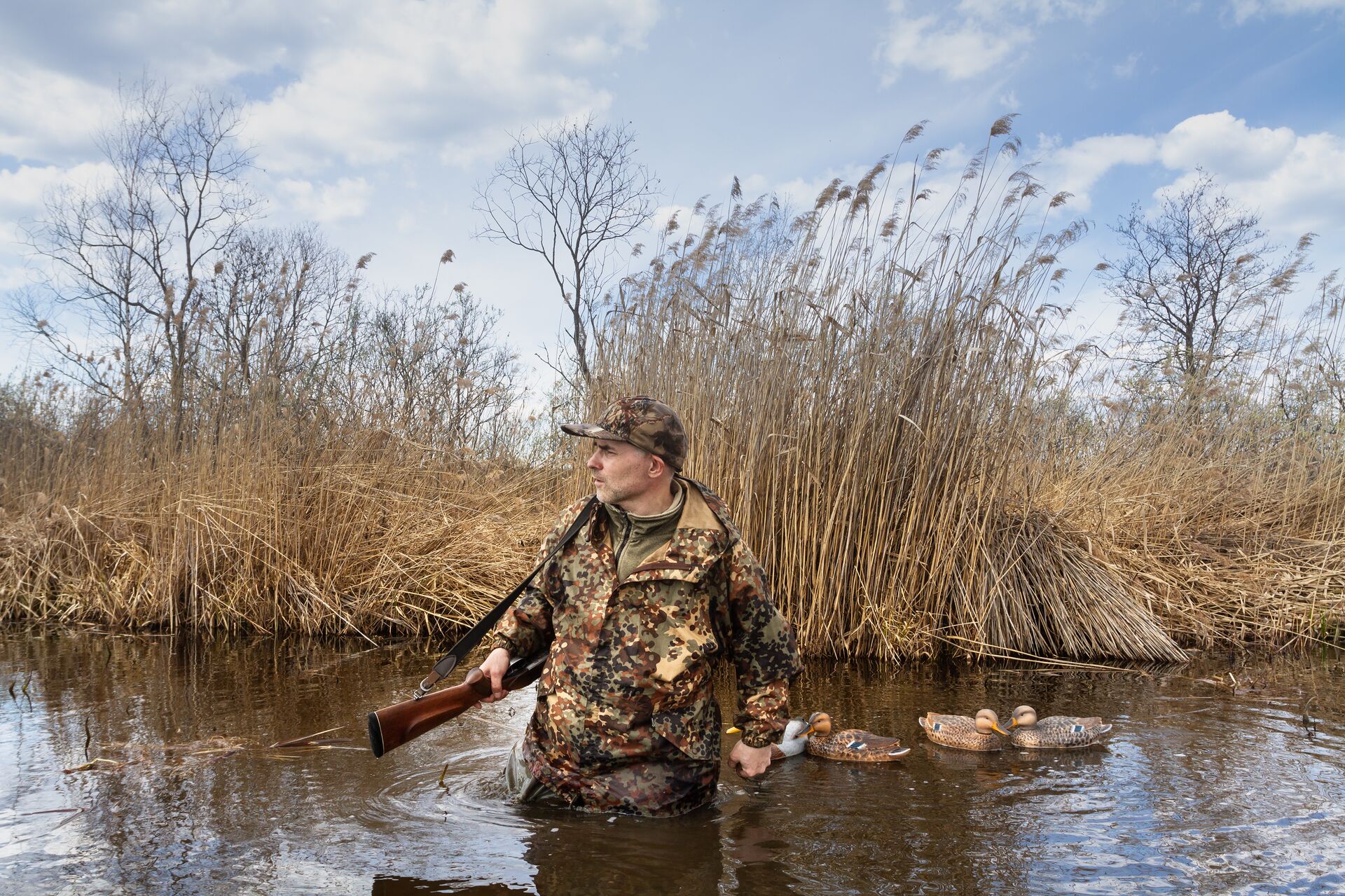 A hunter in camo in the water with a shotgun and duck decoys, bolt-action shotgun safety concept. 