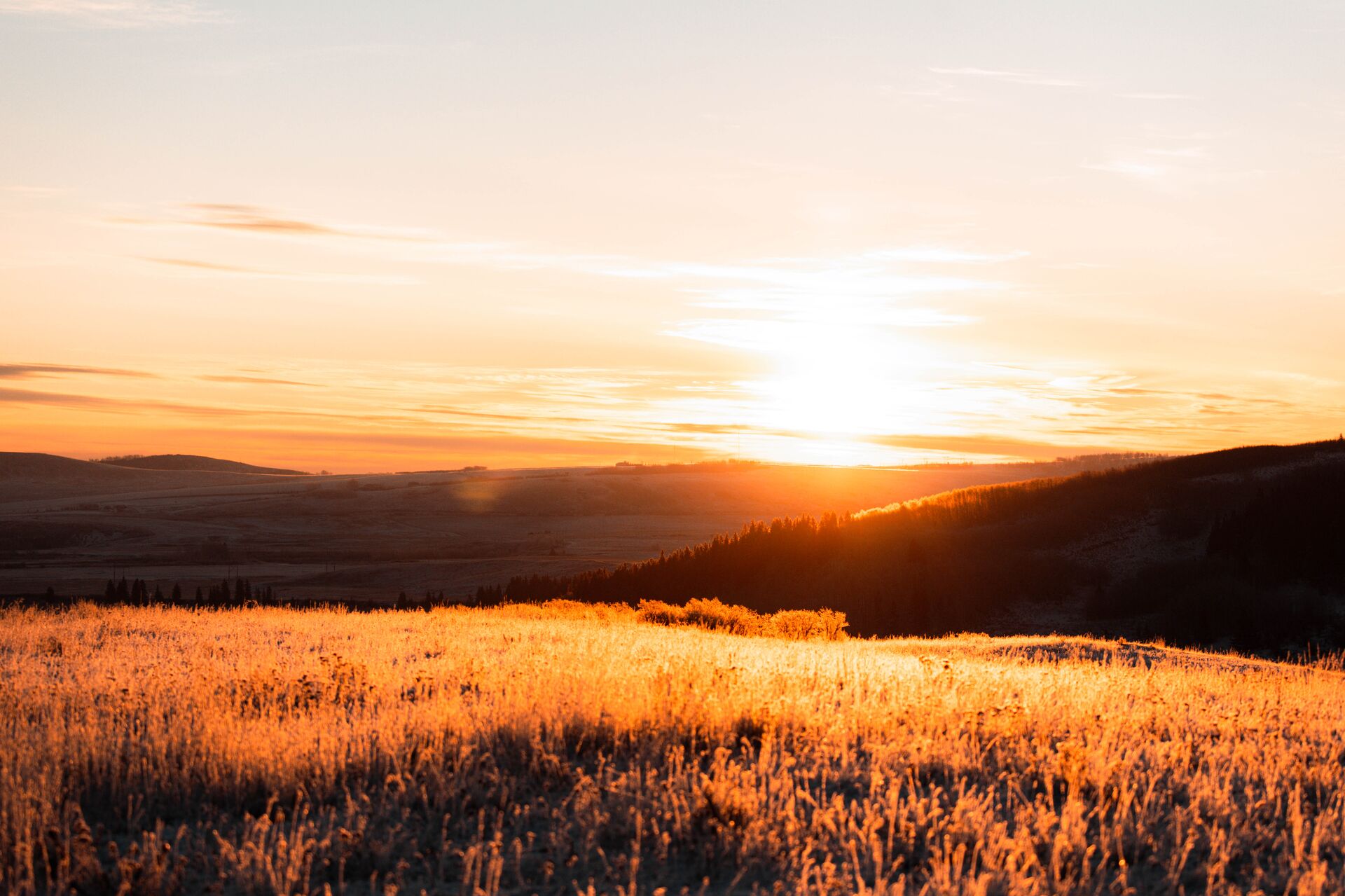 View of a field and hills at dusk, ethical hunting and respecting nature concept. 