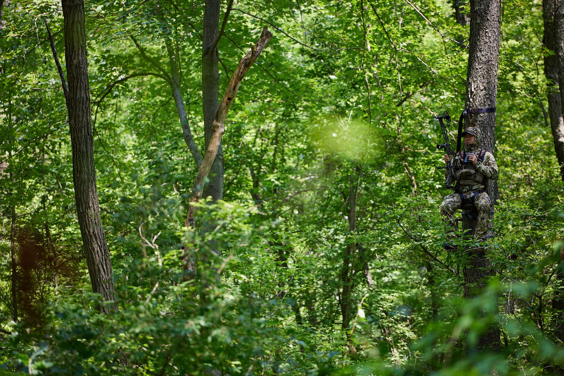 A hunter sits in an elevated stand among the trees. 