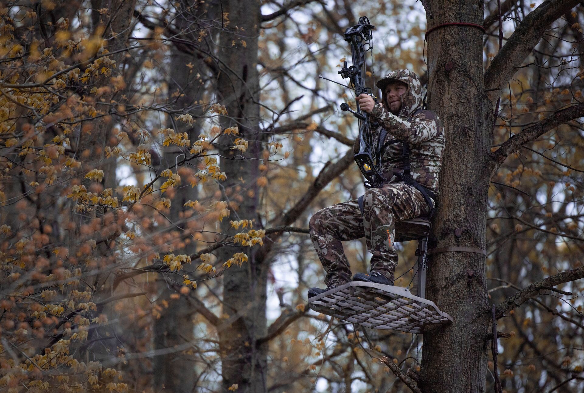 A hunter in a tree stand with a bow. 