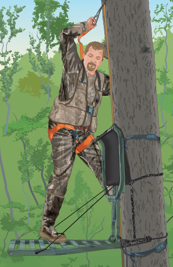 Illustration of climbing into tree stands. 