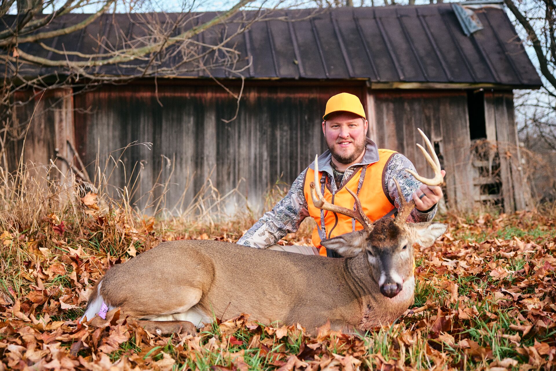 A hunter in blaze orange with a downed deer. 