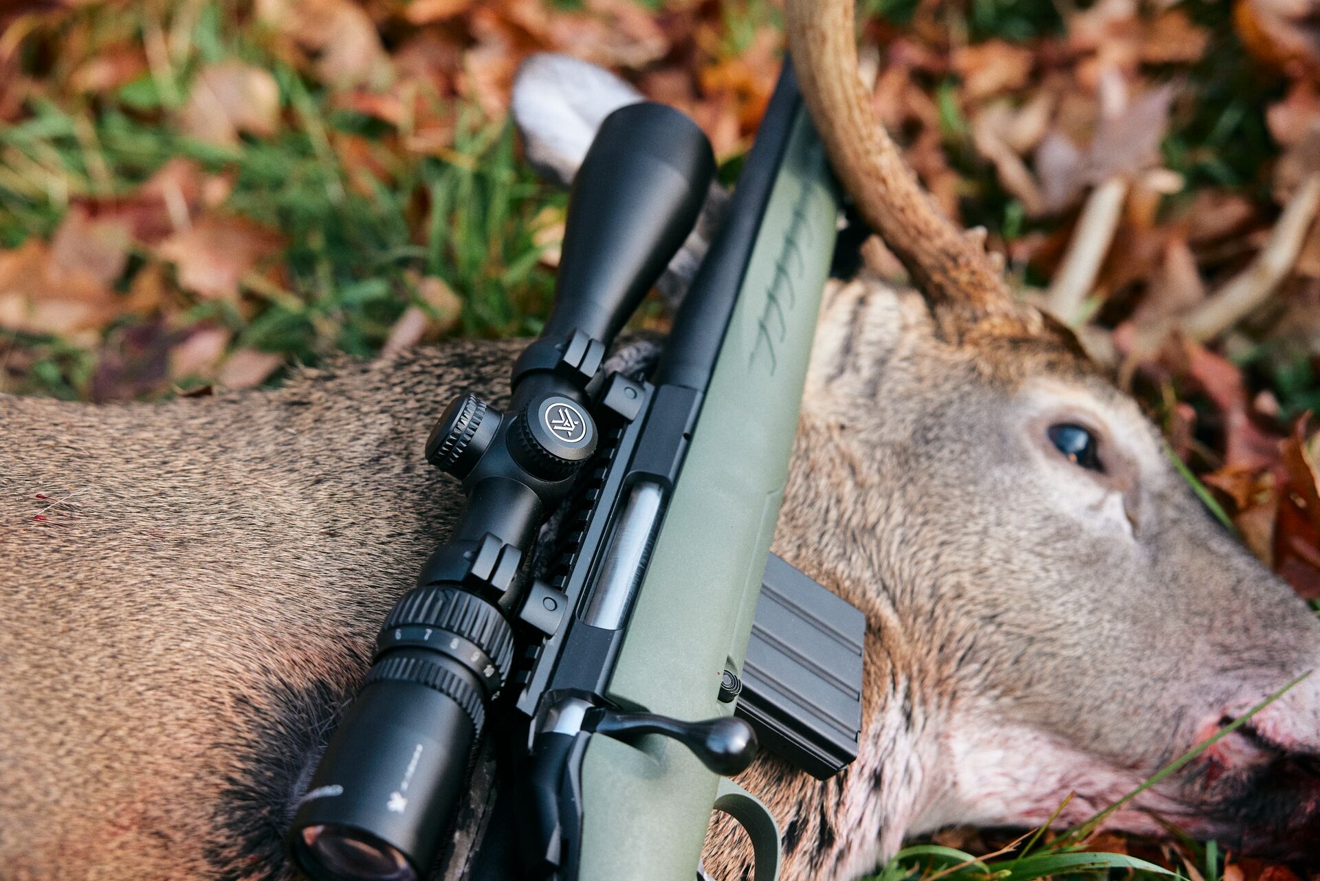 A rifle laying on a deer on the ground, represents dressing a deer in the field. 