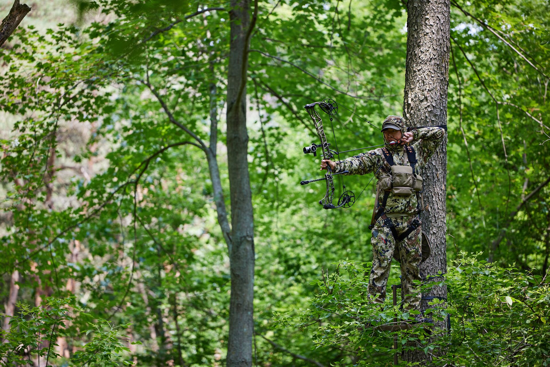 A hunter draws a bow while in a tree stand. 