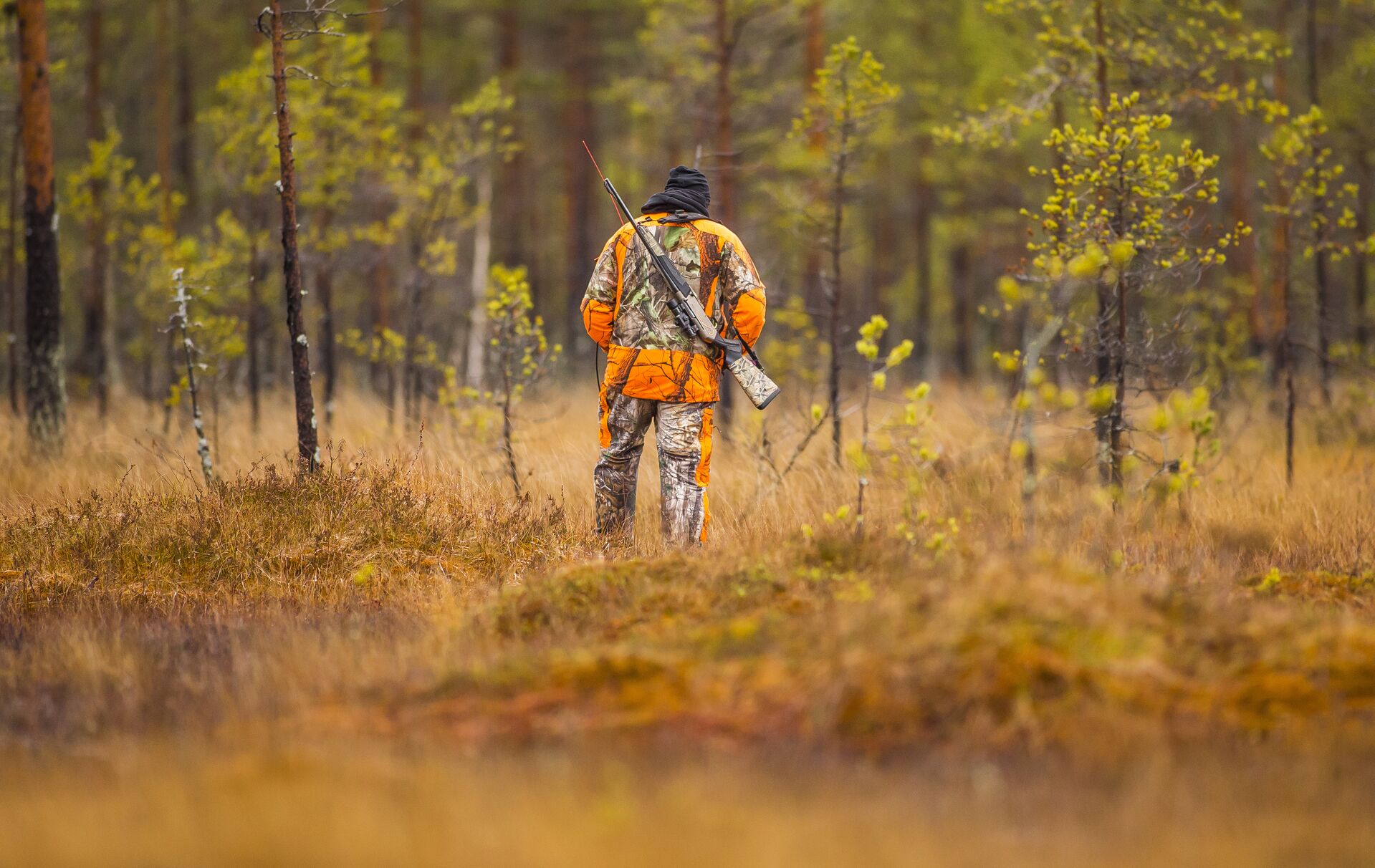 A hunter in camo and blaze orange holds a firearm in a field. 