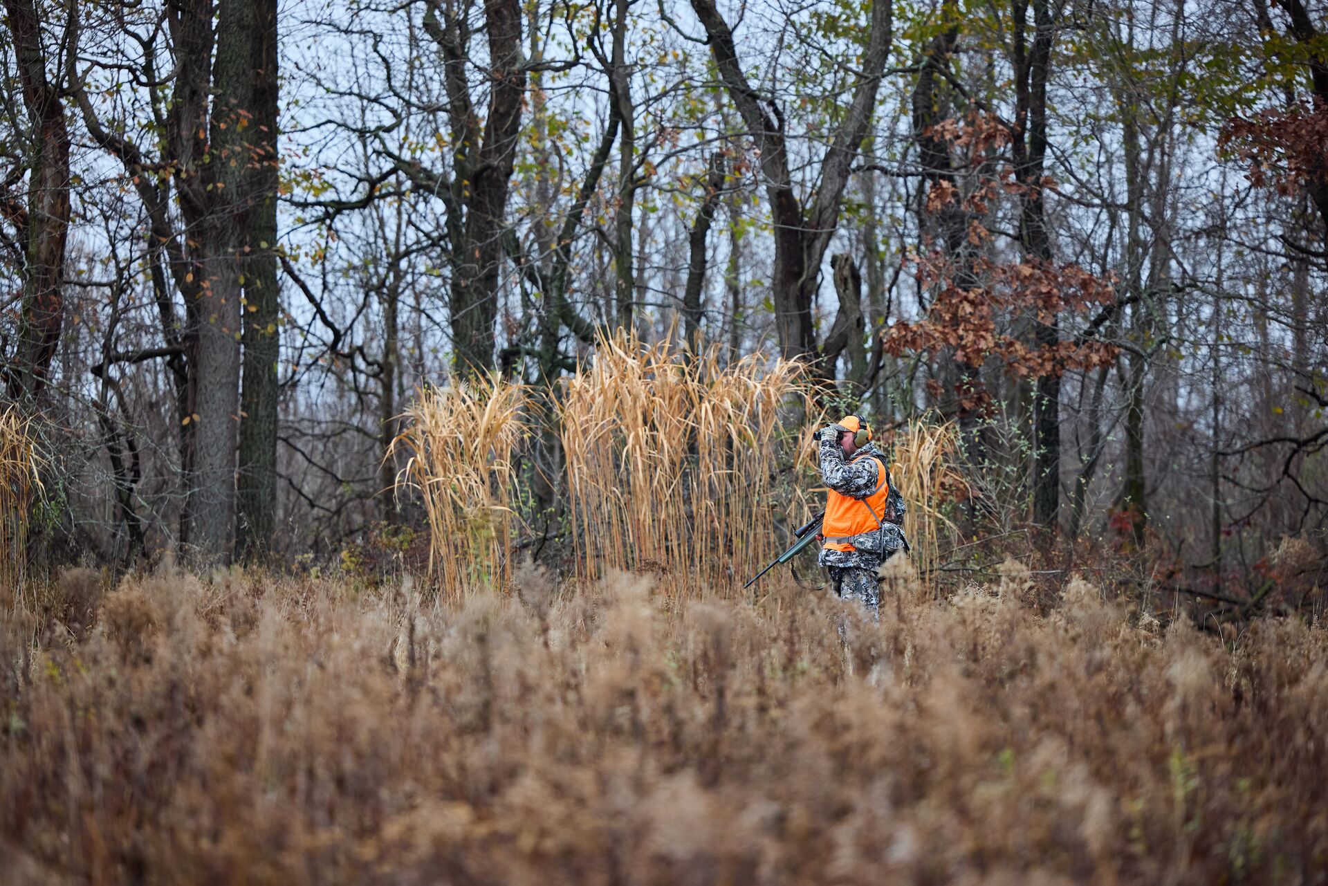 A hunter in blaze orange and camo uses binoculars in a field. 