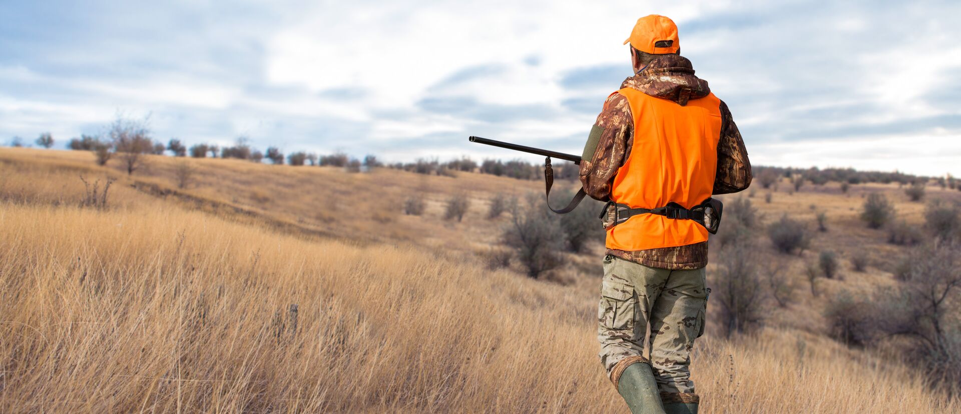 A hunter wearing blaze orange walking through a field carrying a firearm, elbow carry concept. 