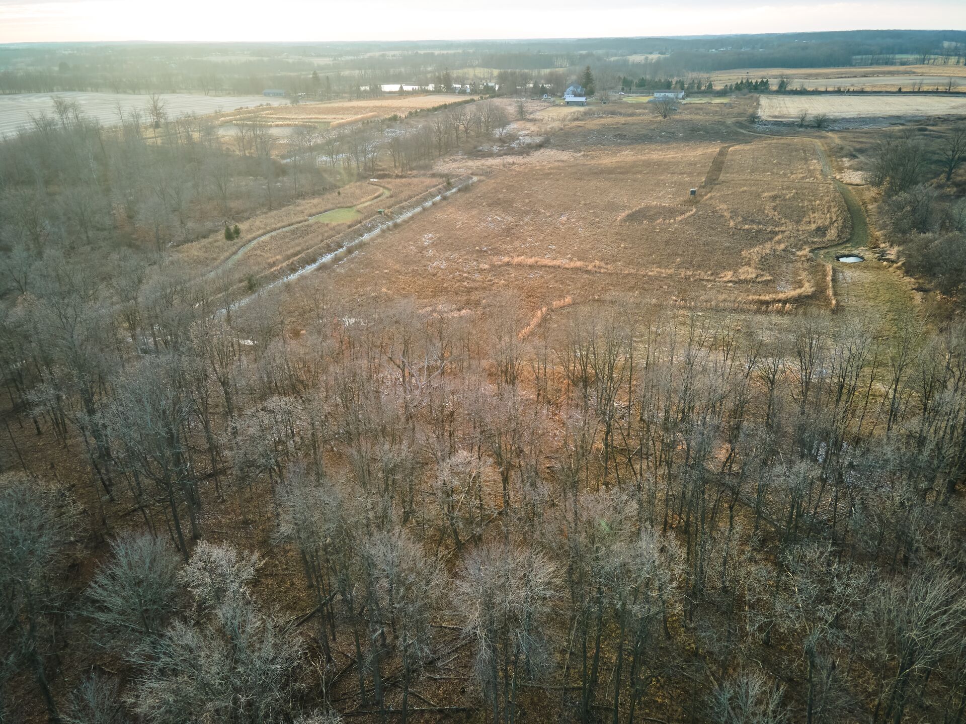 Aerial view of a hunting land, understanding carrying capacity concept.